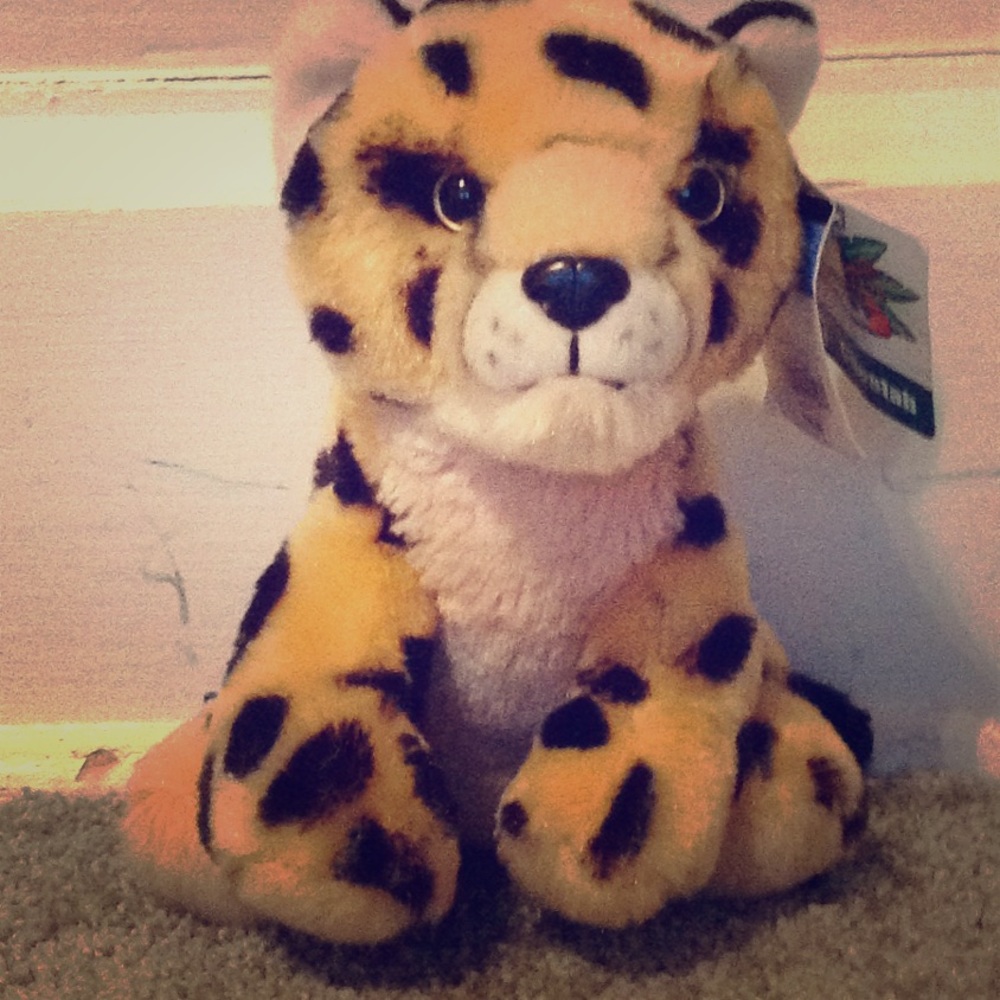 Cheetah